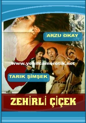 Zehirli Çiçek – Arzu Okay yeşilçam erotik izle +18